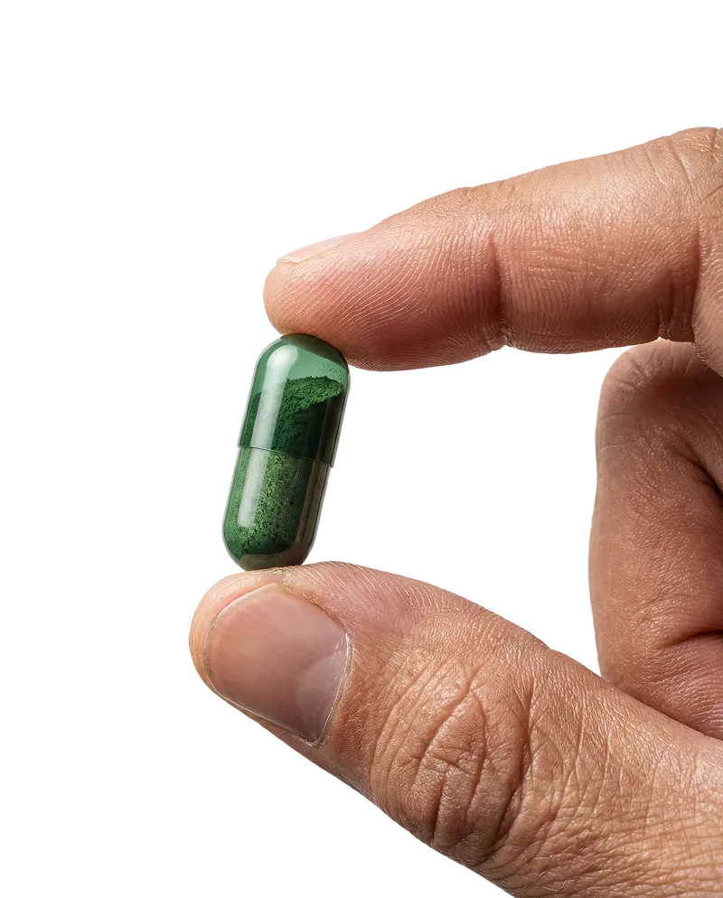 Main tenant une capsule capillaire verte Everyman