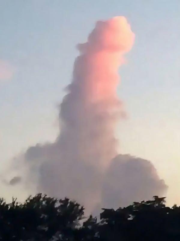 Die berühmte Wolke von Everyman die einen erigierten Penis darstellt